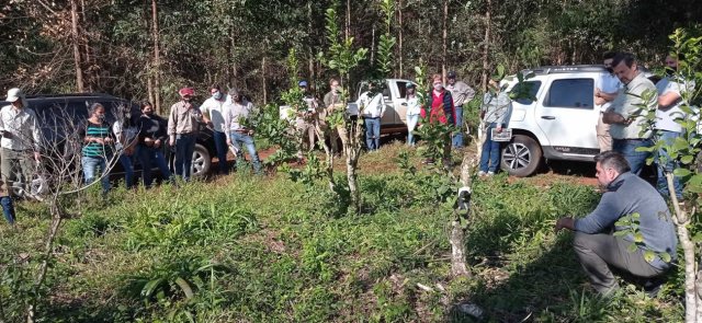 capacitaci_n en monitoreo de malezas de yerba mate eldorado fcf 2